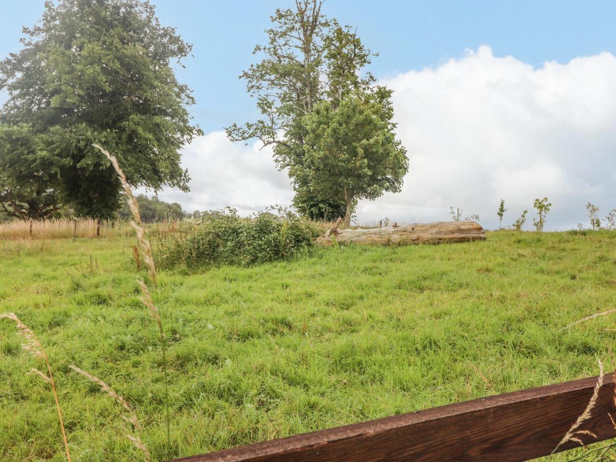 Meadow View Nenagh Exterior foto